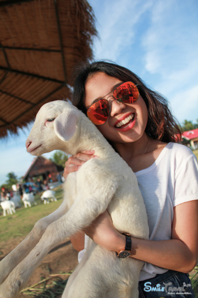 Pattaya Sheep Farm-17